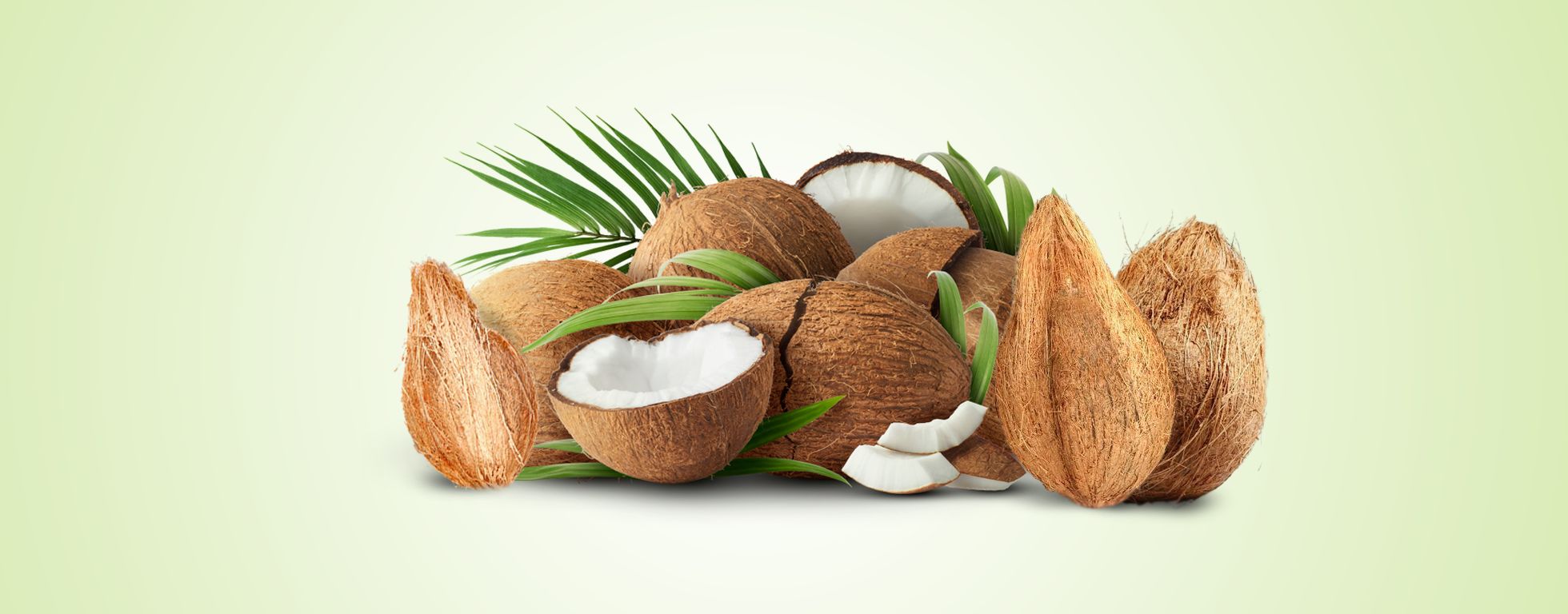 aura coconut export